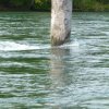 Kanutour Stein am Rhein bis Schaffhausen